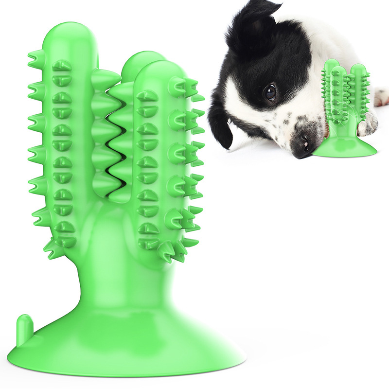 Pet Supplies Wholesale - Dierbenodigdheden fabriek groothandel bedrijf nieuwe explosies