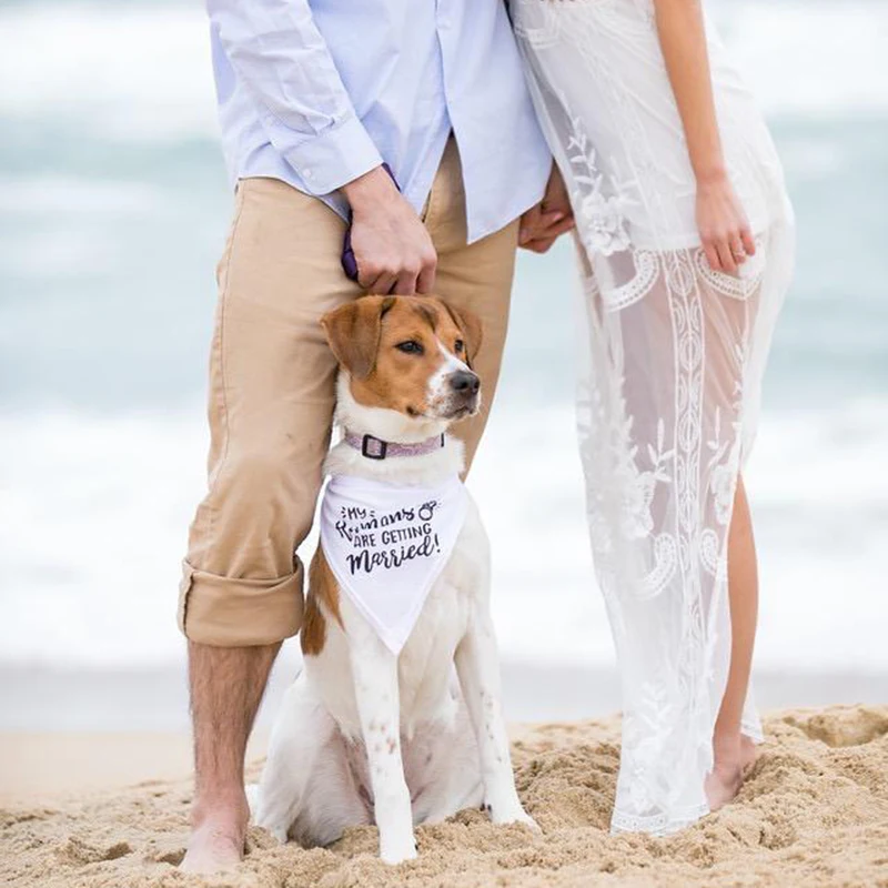Dog Bandana Scarf - Mijn Mensen Zijn Trouwen Hond Bandana
