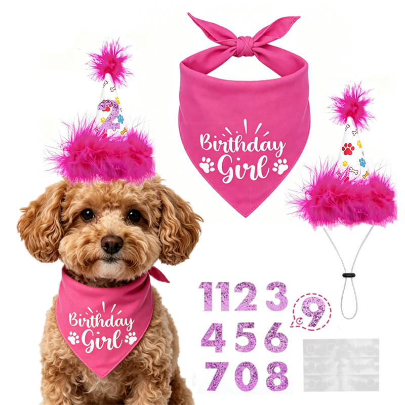 Hondenverjaardagsfeestje Set B - Pet Supplies In Bulk recensie en prijs