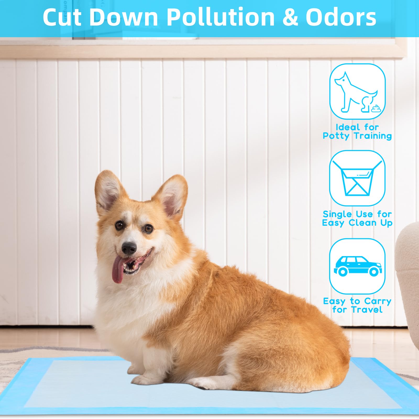 Lekvrije plaspads voor honden  - Pet Supplies Wholesale recensie en prijs