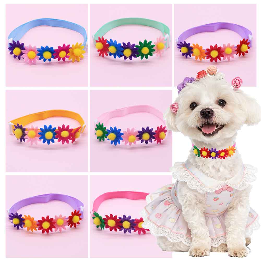 50 STKS Kleurrijke Hond Strikj - Pet Supplies Wholesale recensie en prijs
