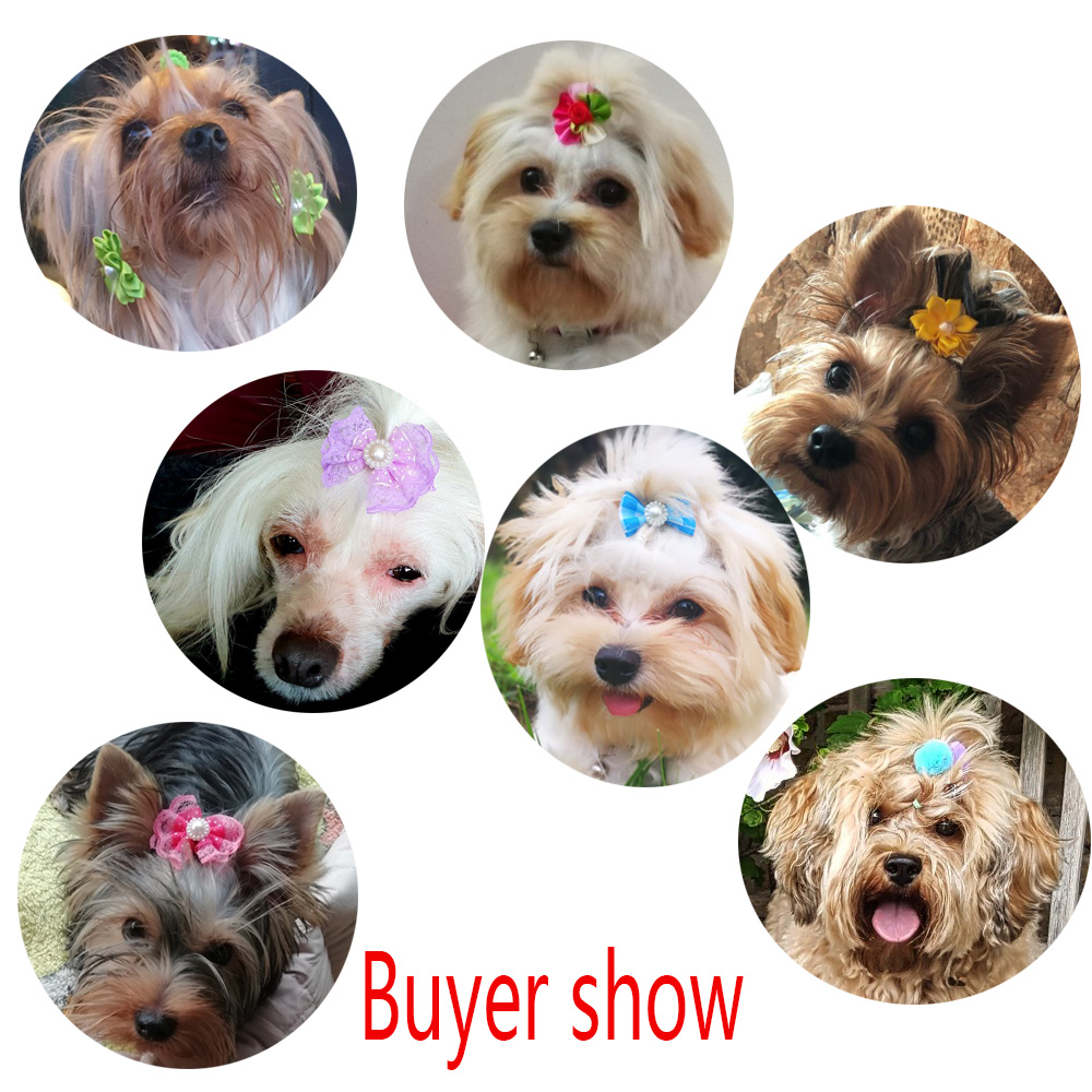 20 stks/partij Hond Kat Haarel - Dog Bandana Scarf recensie en prijs