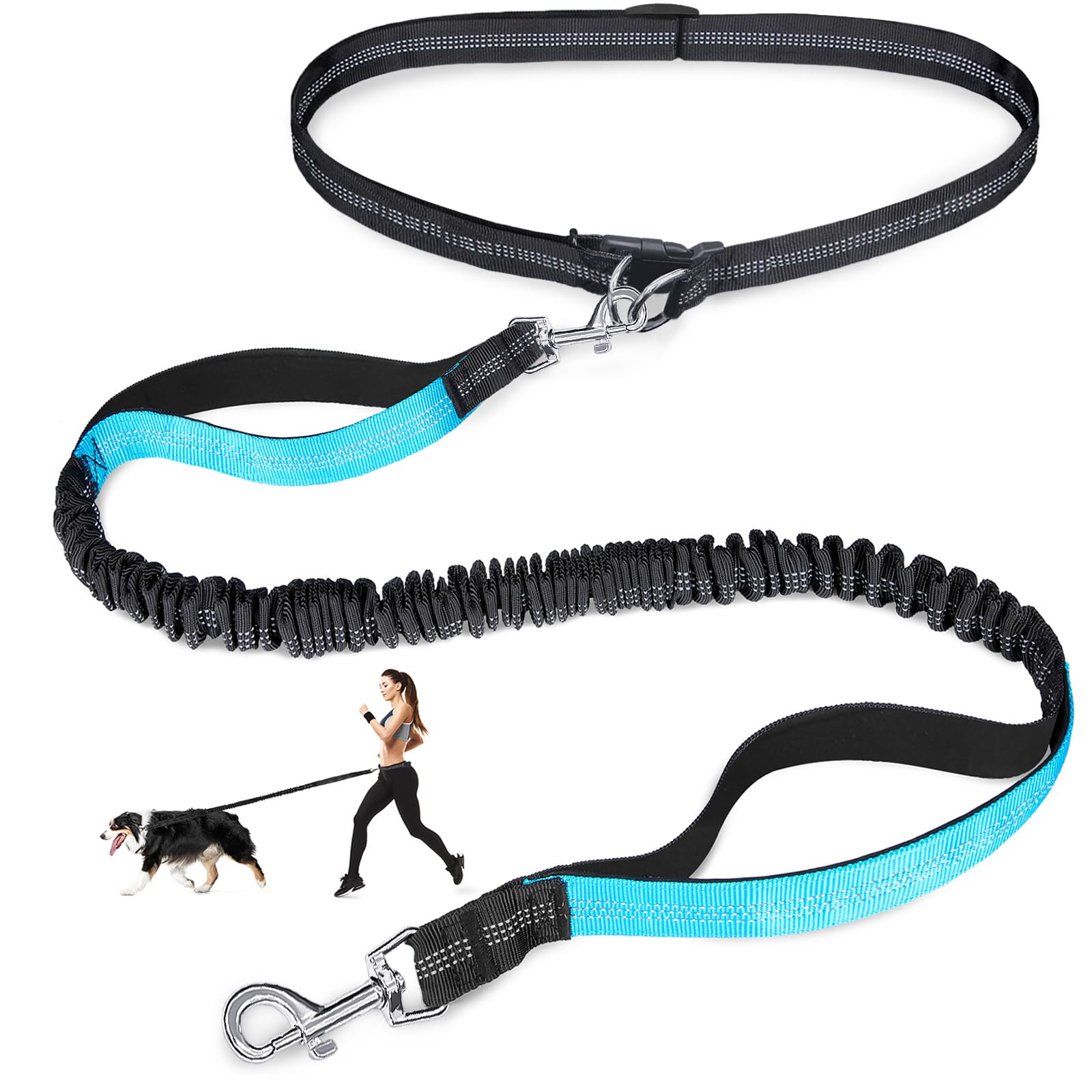 Dubbele elastische reflecteren - Pet Supplies Wholesale recensie en prijs