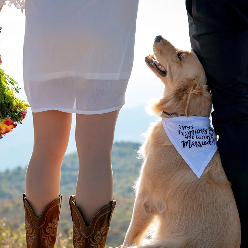 Mijn Mensen Zijn Trouwen Hond  - Dog Bandana Scarf recensie en prijs