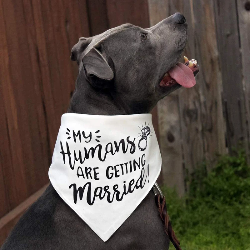 Mijn Mensen Zijn Trouwen Hond  - Dog Bandana Scarf recensie en prijs
