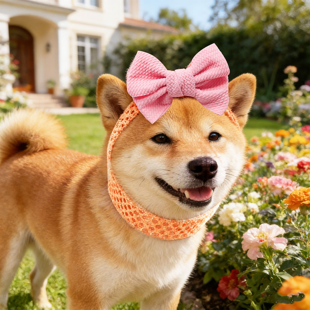 50 stuks honden strikken elast - Pet Supplies Wholesale recensie en prijs