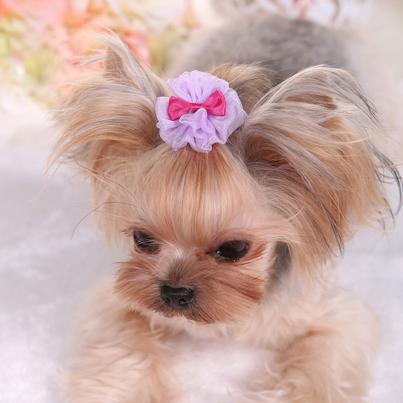 Huisdier Haarspeld Leuke Effen - Dog Bandana Scarf recensie en prijs