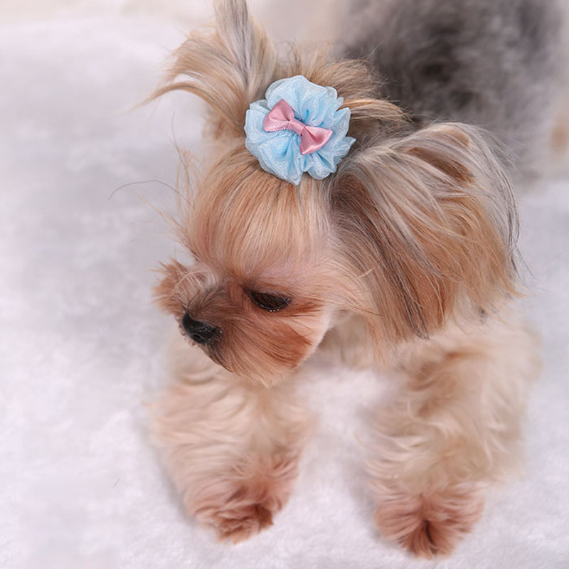 Huisdier Haarspeld Leuke Effen - Dog Bandana Scarf recensie en prijs