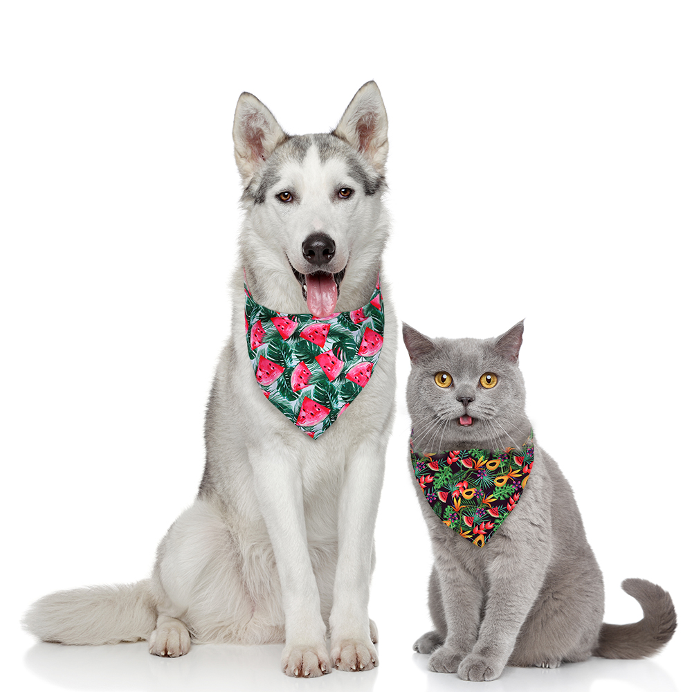 8 stks Hond Bandana Fruit Stij - Pet Supplies In Bulk recensie en prijs