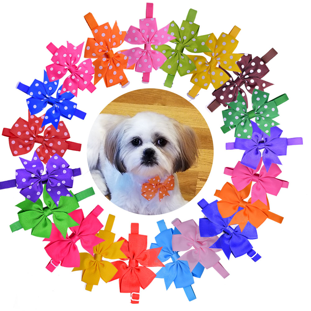Groothandel 500Pcs Solid Dot H - Pet Supplies In Bulk recensie en prijs