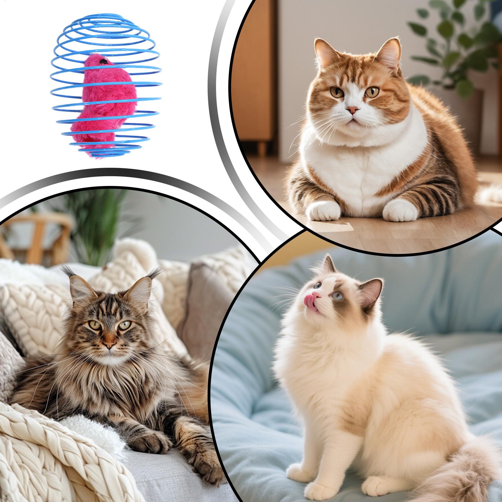 Kattenspiraalspeelgoed Interac - Cat Tunnel Toy recensie en prijs