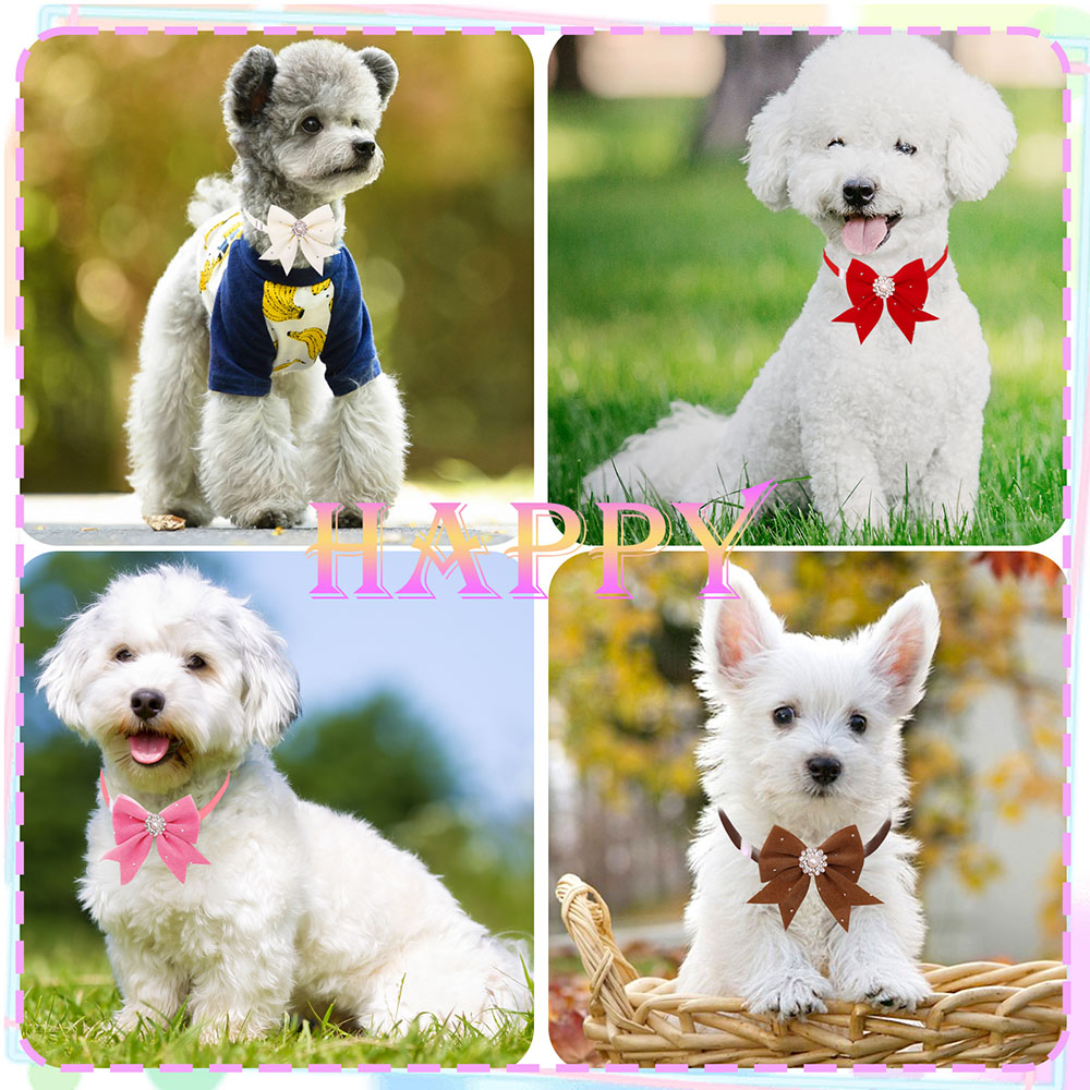 8 STKS Halsband Bloemenlint Di - Pet Supplies In Bulk recensie en prijs