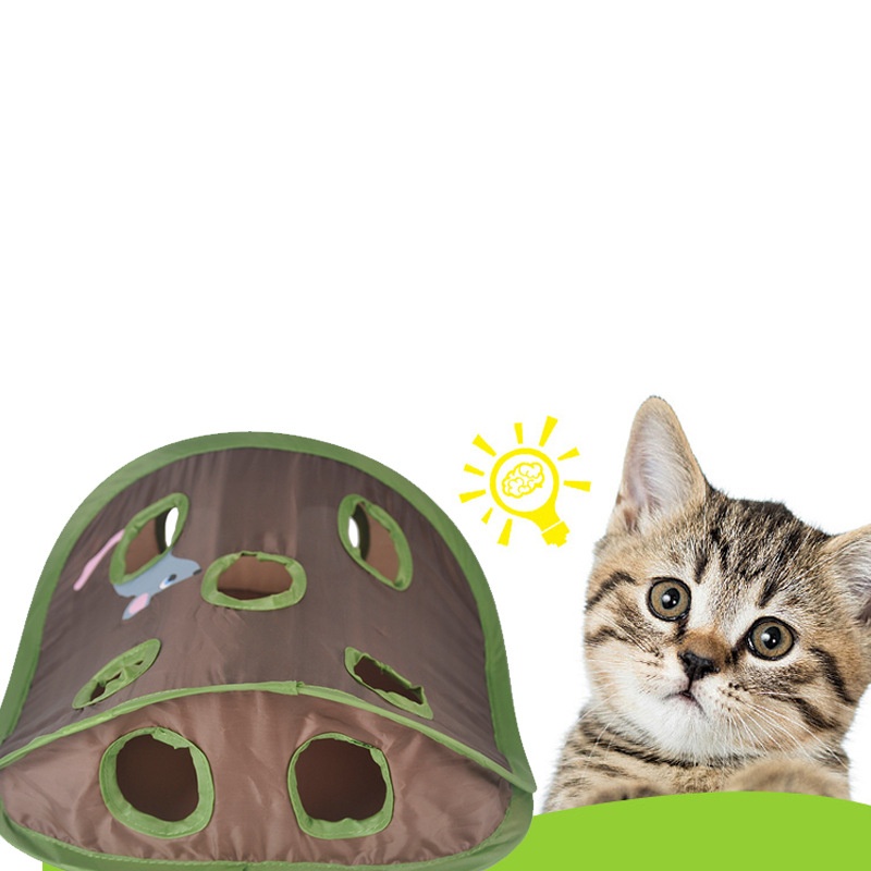 Interactief schattig katten sp - Cat Tunnel Toy recensie en prijs