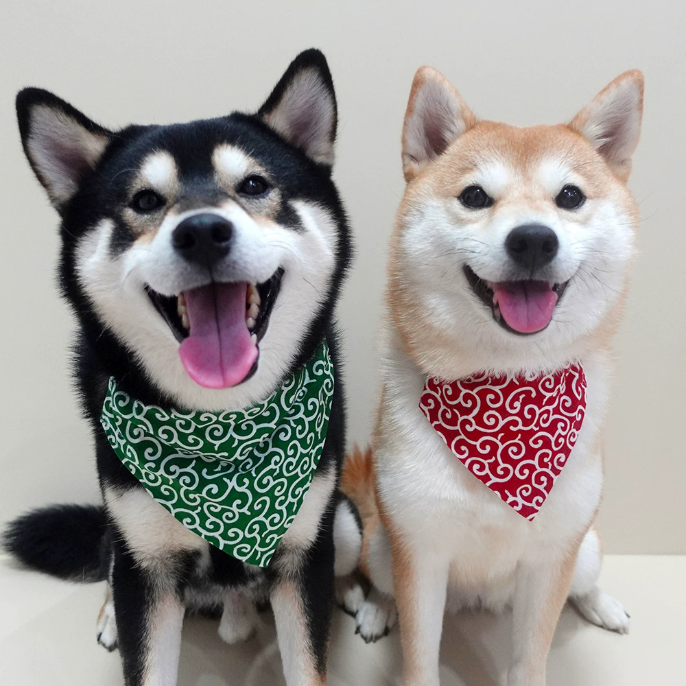 Hondenaccessoires NIEUW Hond B - Dog Bandana Scarf recensie en prijs