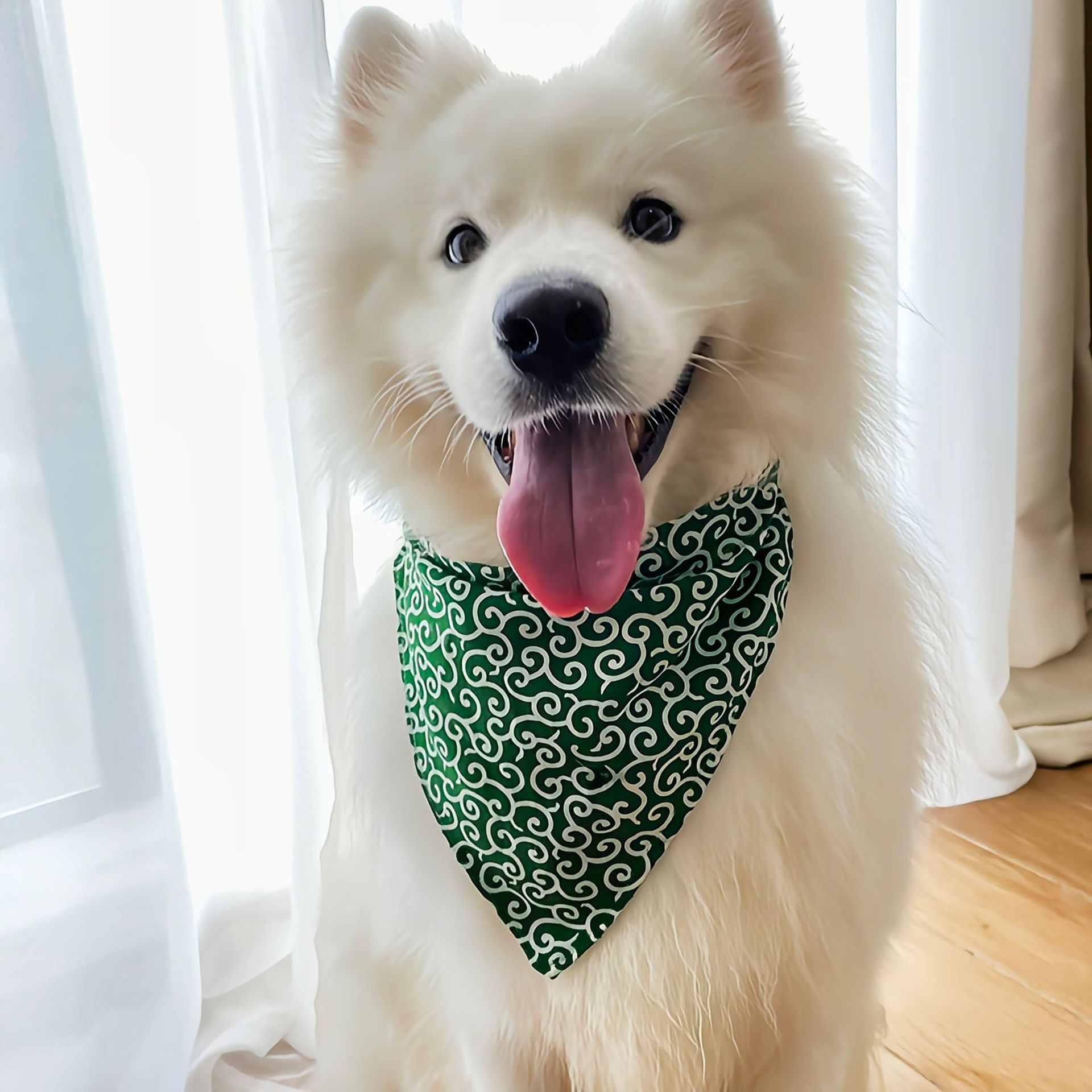 Hondenaccessoires NIEUW Hond B - Dog Bandana Scarf recensie en prijs