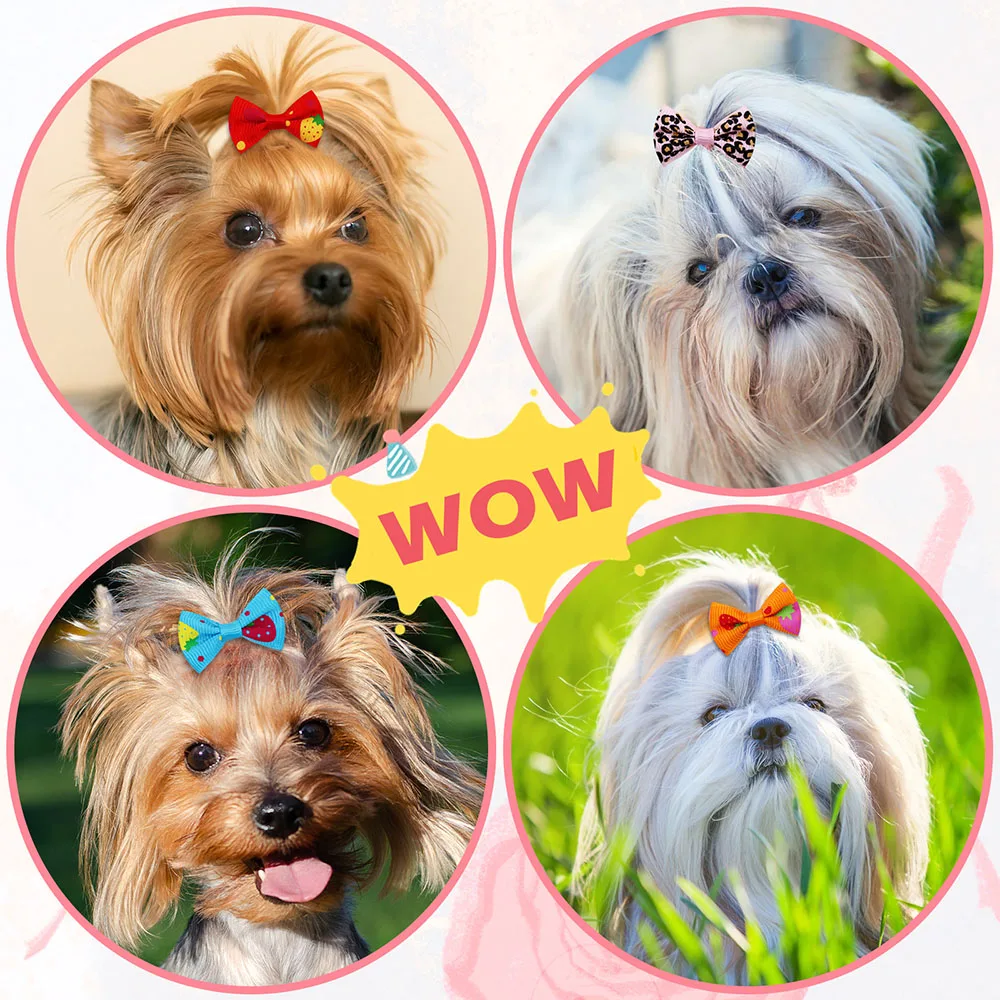 50 STKS Hond Bows Met Elastiek - Pet Supplies In Bulk recensie en prijs